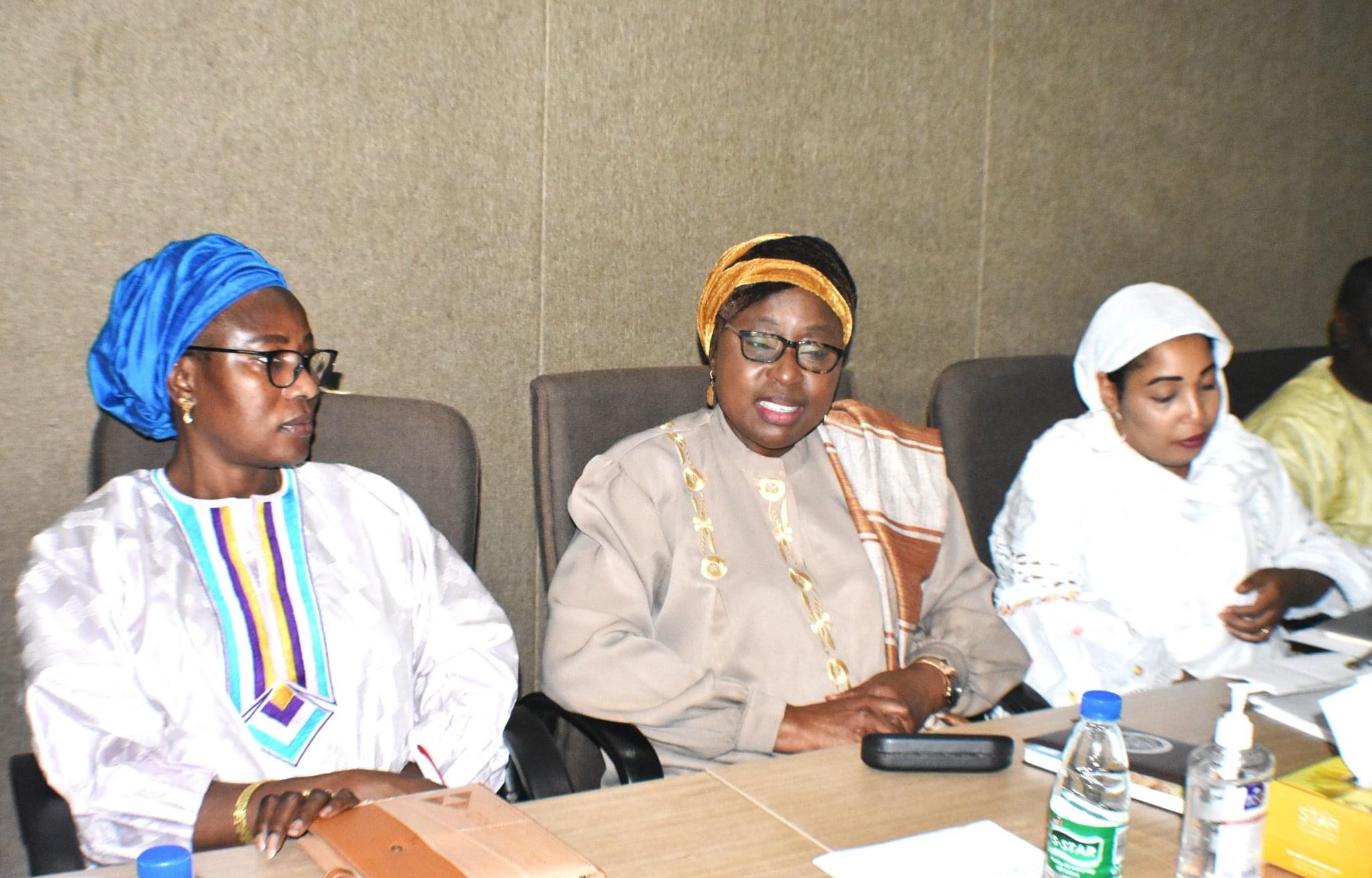 Minister of Gender Briefs Gender Committee – Kerr Fatou Online Media House